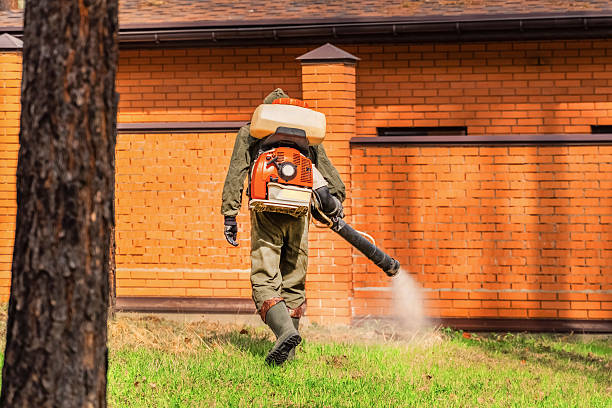 Trusted Mosquito Control service in Elkton, VA - Nex Pest Control